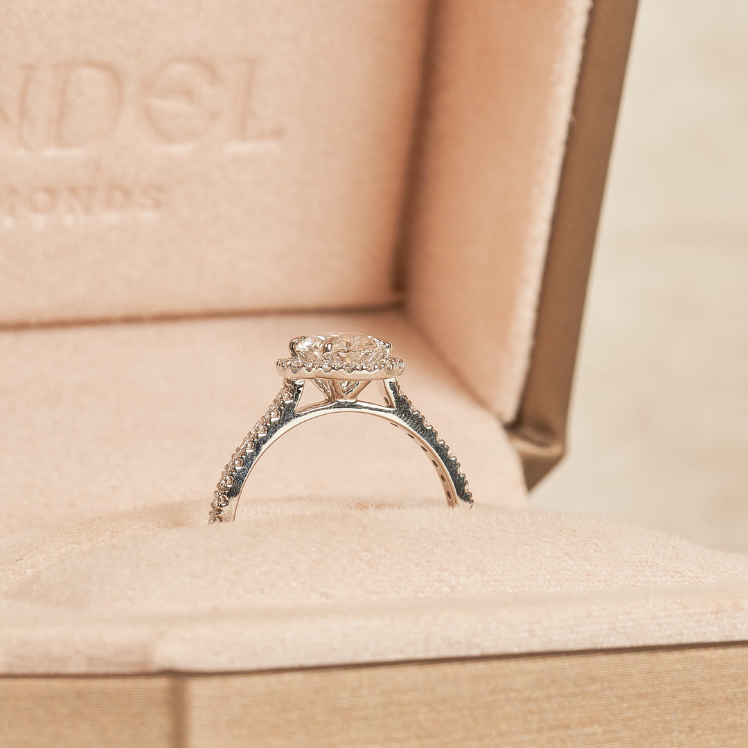 Ovale Halo Ring met Pave Band - 18K Witgoud