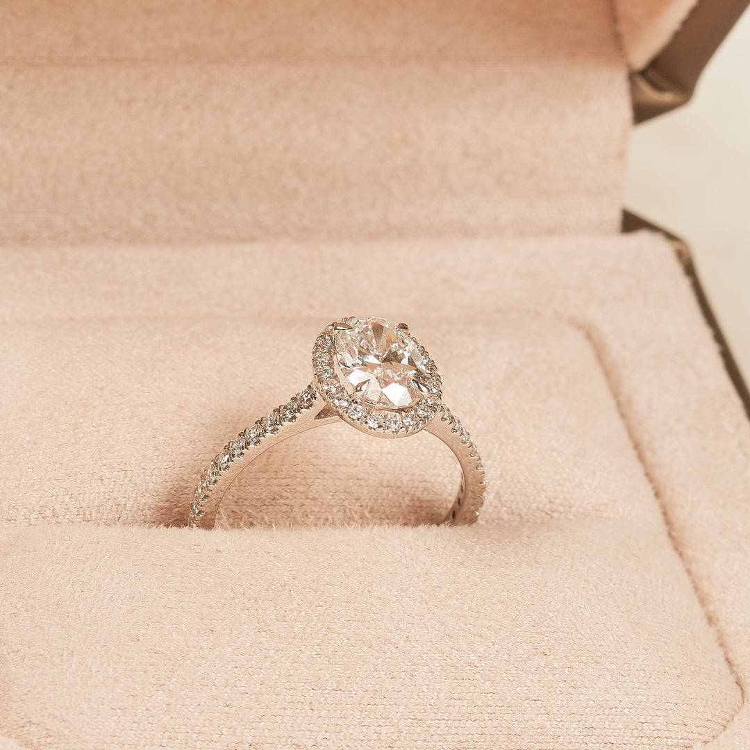 Ovale Halo Ring met Pave Band - 18K Witgoud