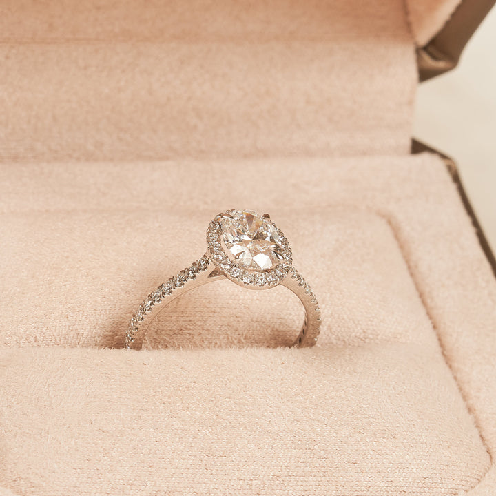 Ovale Halo Ring met Pave Band - 18K Witgoud