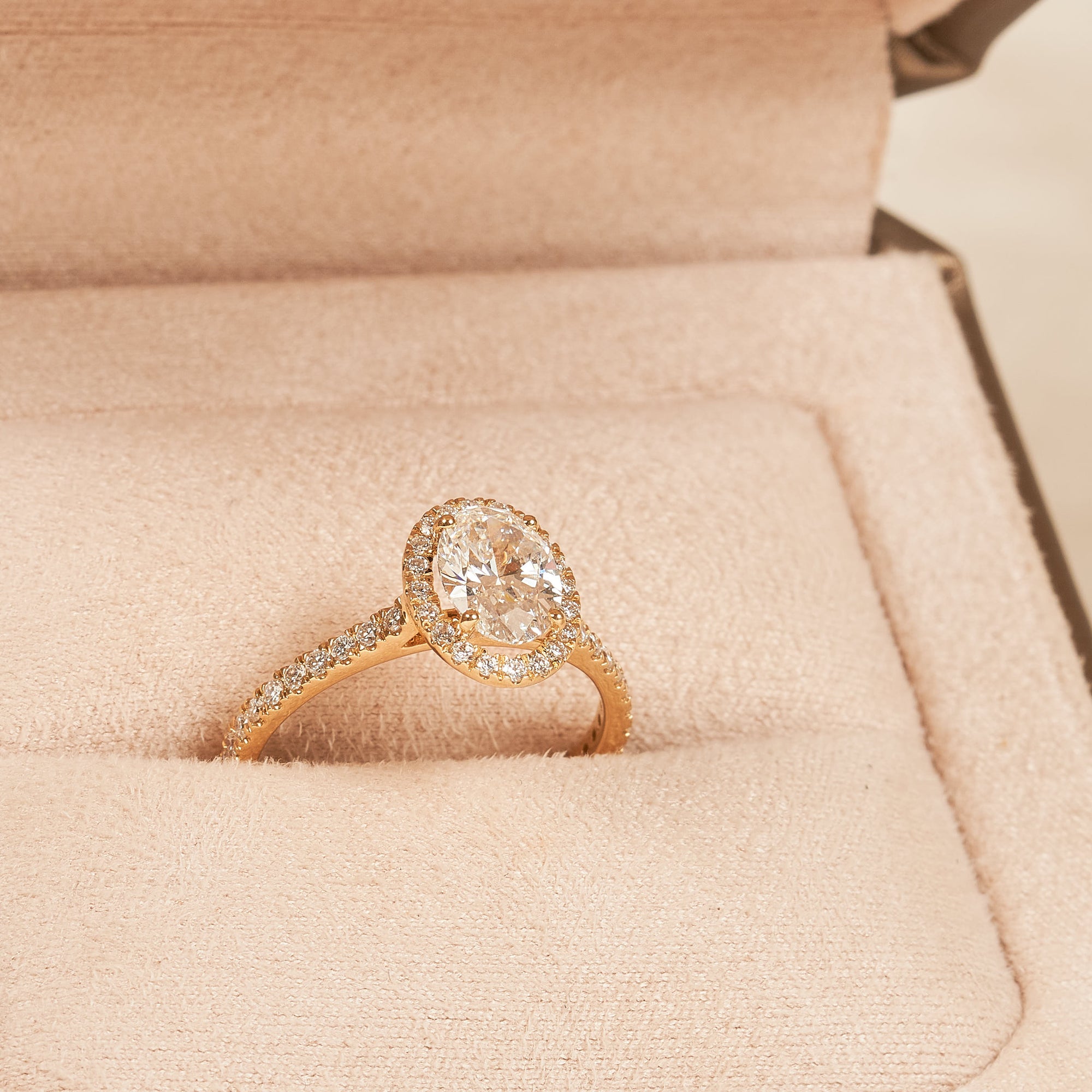 Rosie  - In Stock - Oval Halo Lab Grown Diamond Ring with Pave Band -18k Gold