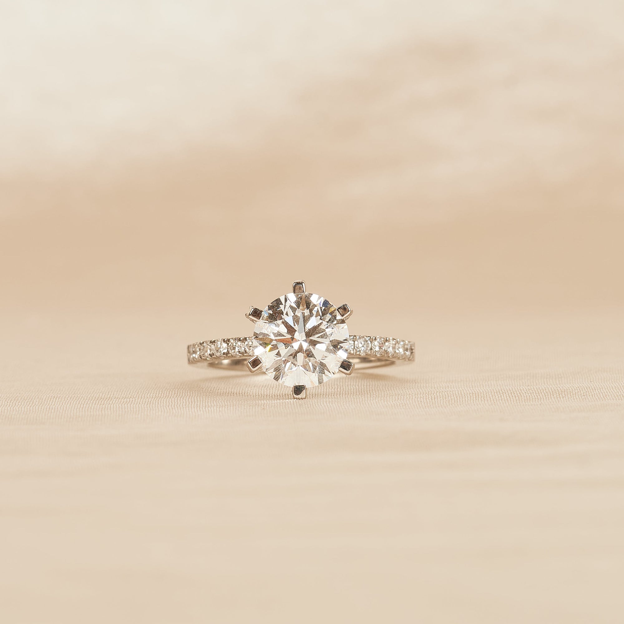 Mabel - In Stock - Round Brilliant Solitair with Pave and Modern Setting - Platina 950 - 2,95 ct