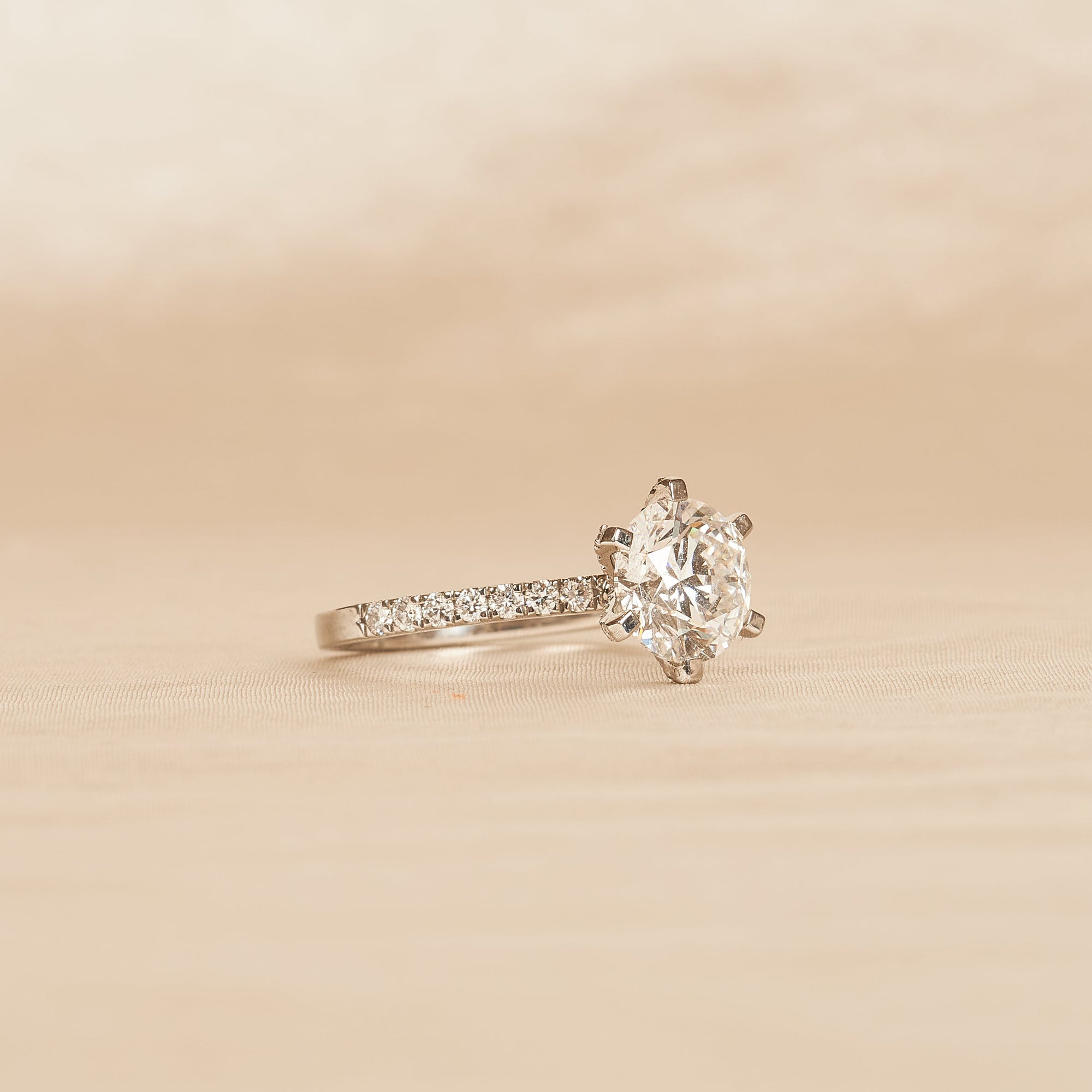 Mabel - In Stock - Round Brilliant Solitair with Pave and Modern Setting - Platina 950 - 2,95 ct