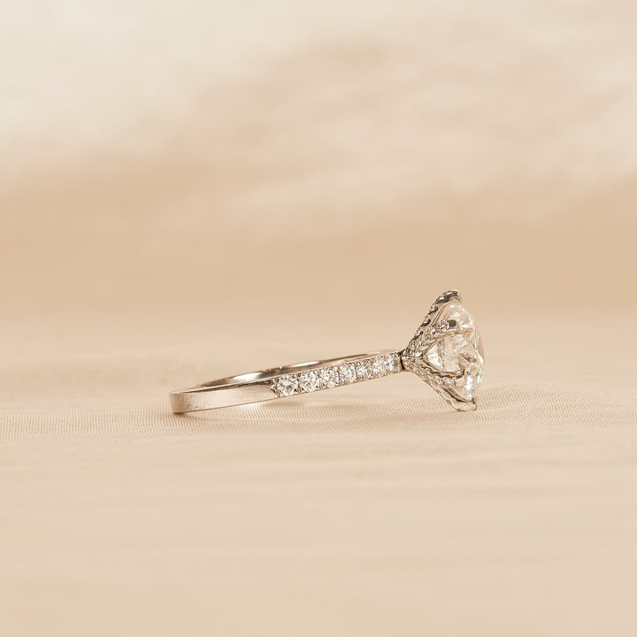 Rond Briljant Solitair met Pave en Moderne Zetting - Platina 950 - 2,95 ct