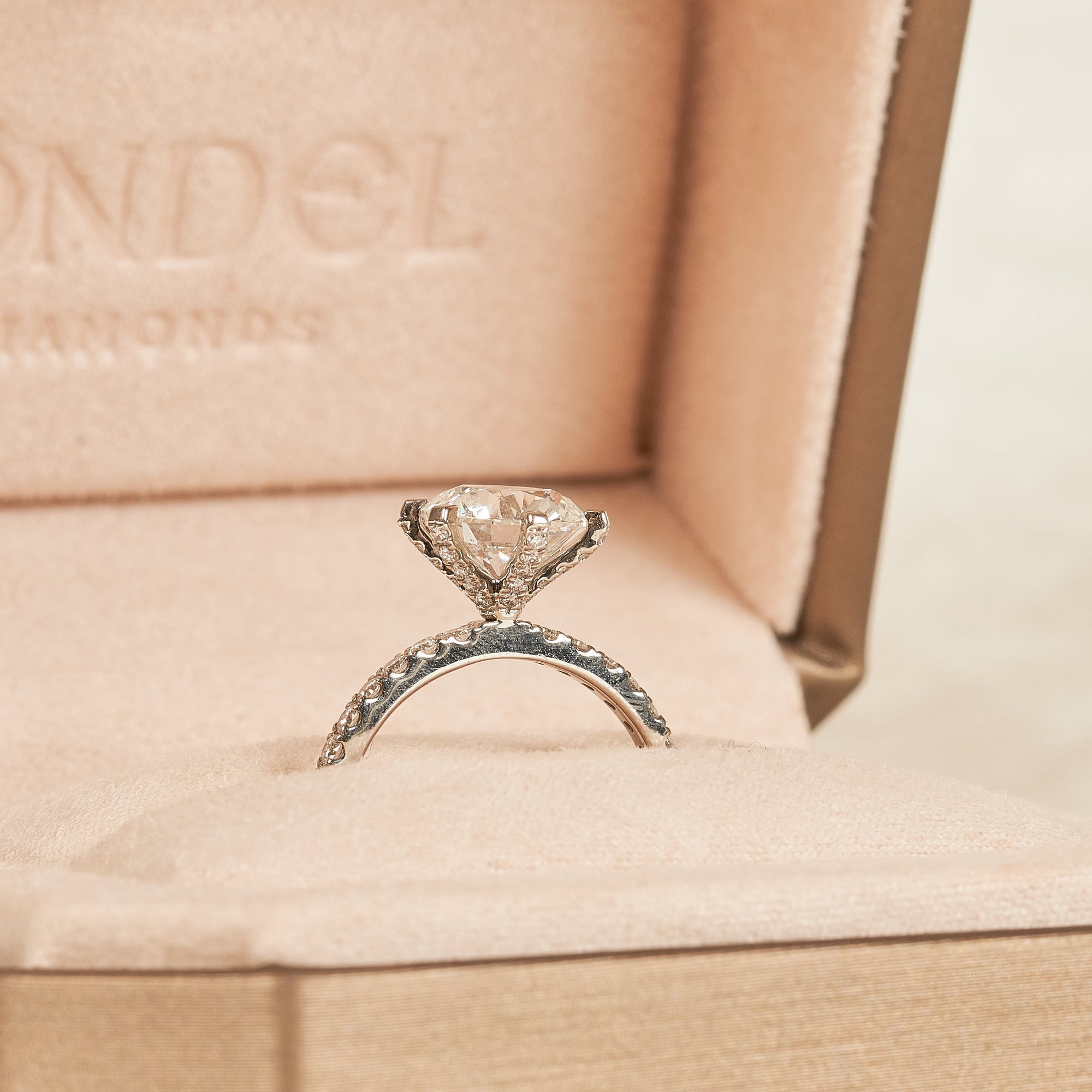 Mabel - In Stock - Round Brilliant Solitair with Pave and Modern Setting - Platina 950 - 2,95 ct