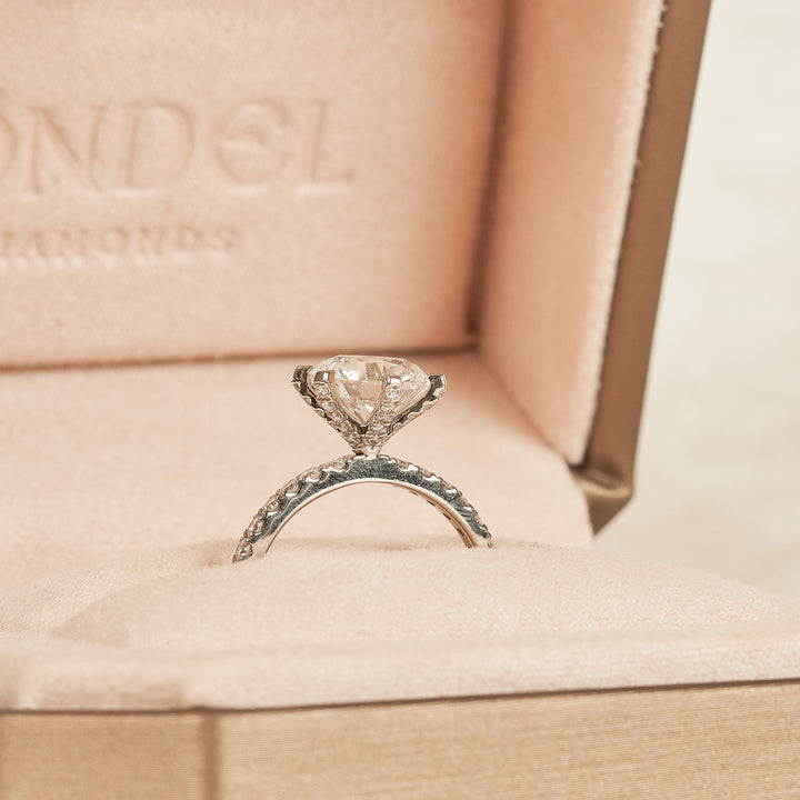 Rond Briljant Solitair met Pave en Moderne Zetting - Platina 950 - 2,95 ct