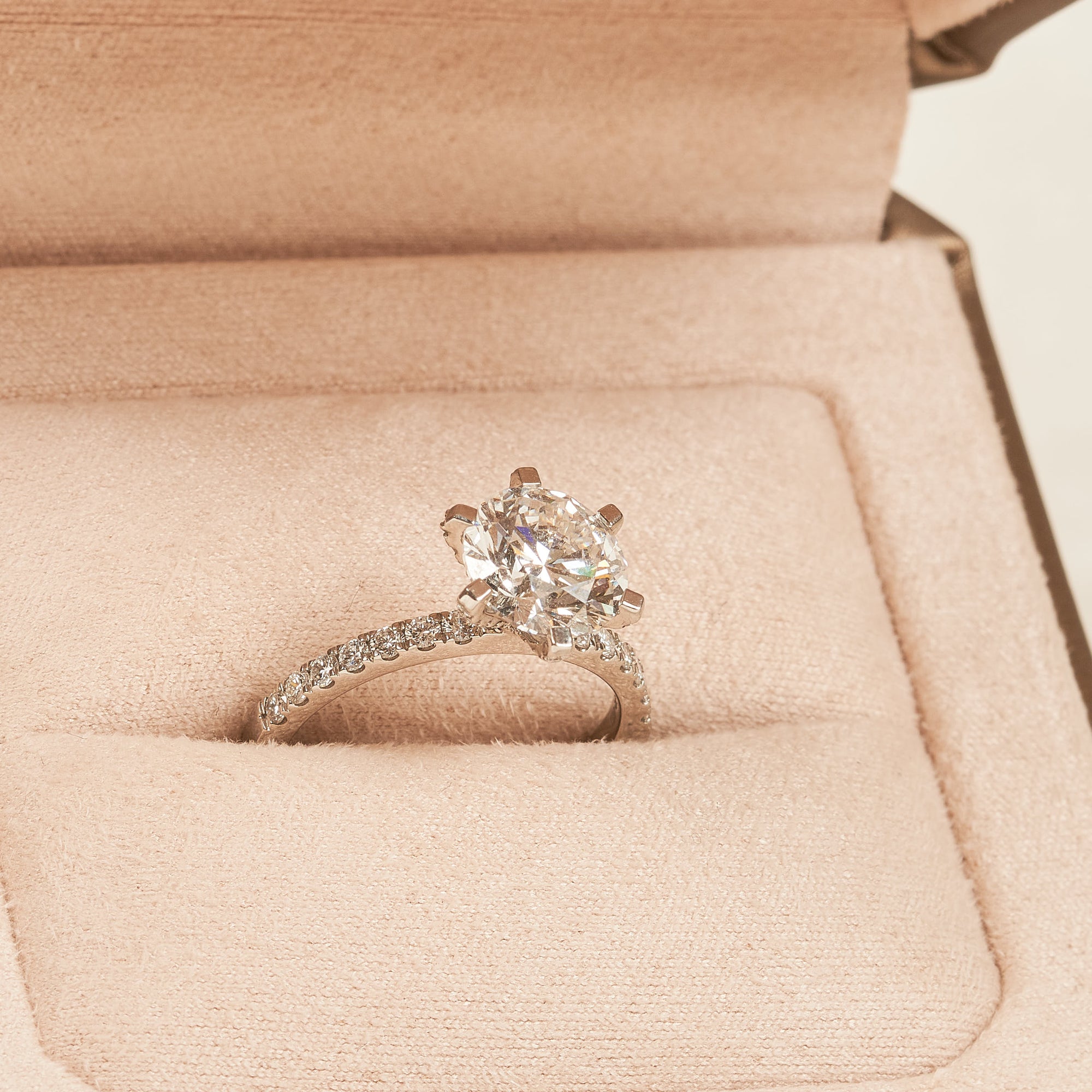 Mabel - In Stock - Round Brilliant Solitair with Pave and Modern Setting - Platina 950 - 2,95 ct