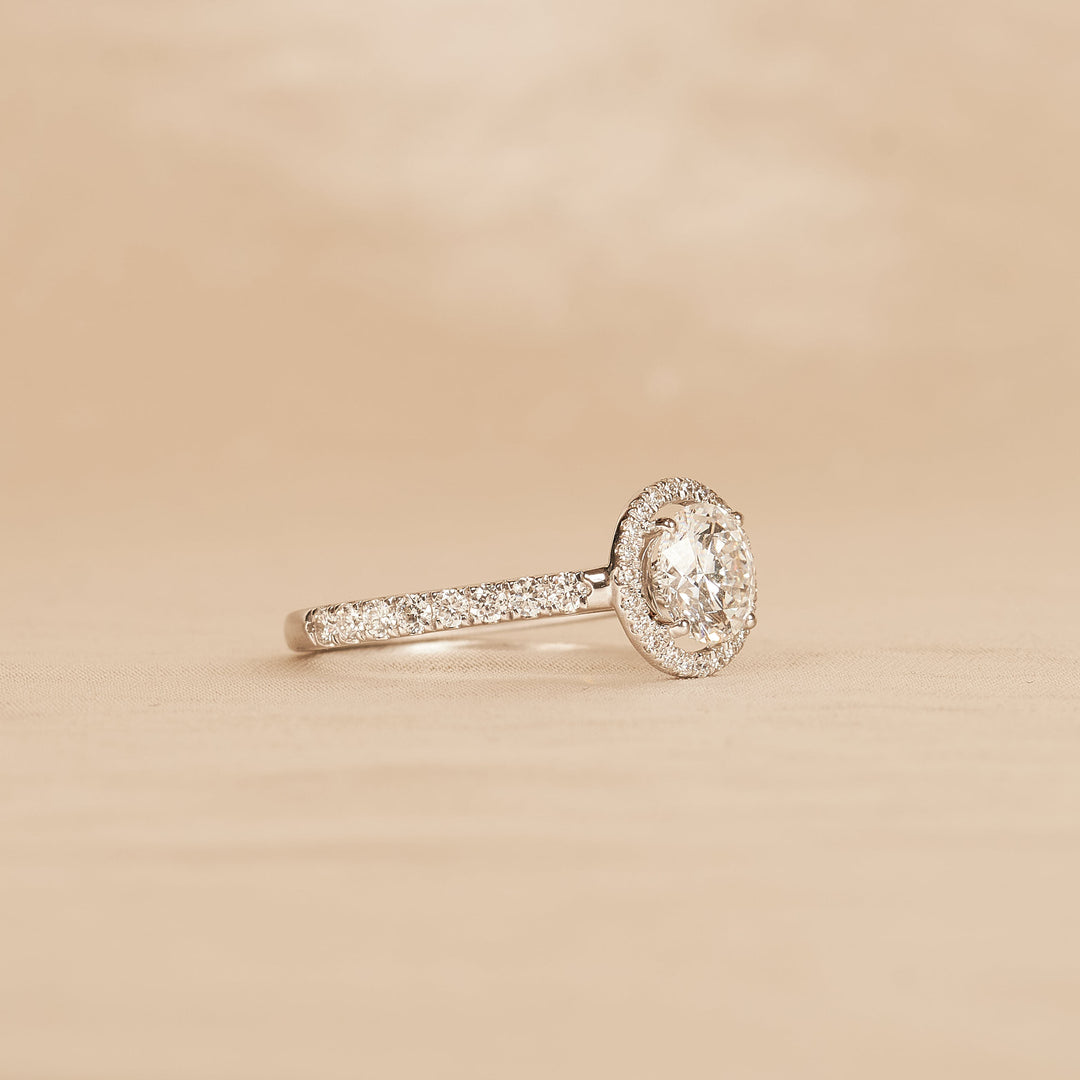 Rond Briljant Halo Ring met Pave Band - 18K Goud