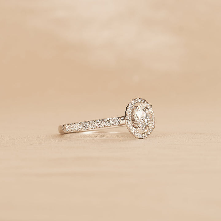 Rond Briljant Halo Ring met Pave Band - 18K Goud