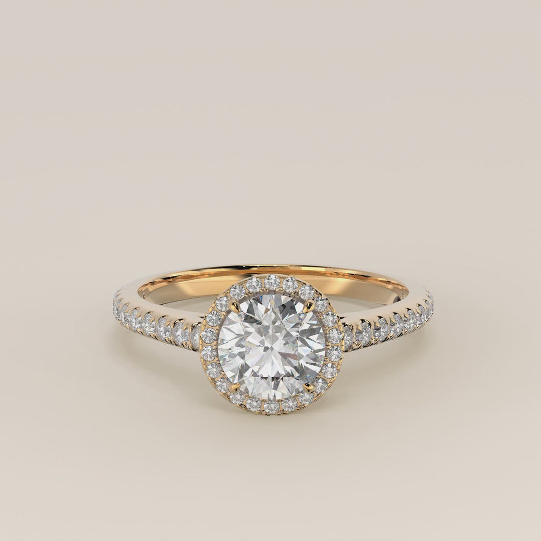 Rosie - Round Halo Lab Grown Diamond Ring with Pave Band